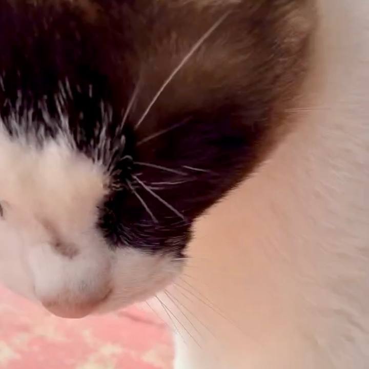 524e4d19 77dc 4a7c a4b6 4e508b1eab2c 1746928758416