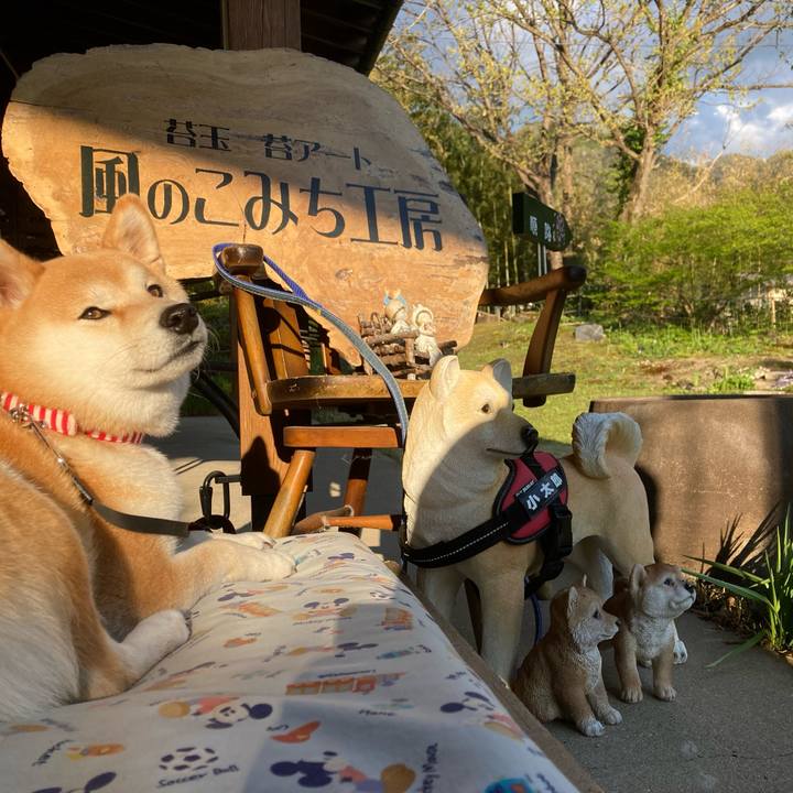 524e5946 8aca 4b04 a30d 930146881e41 1651566012782