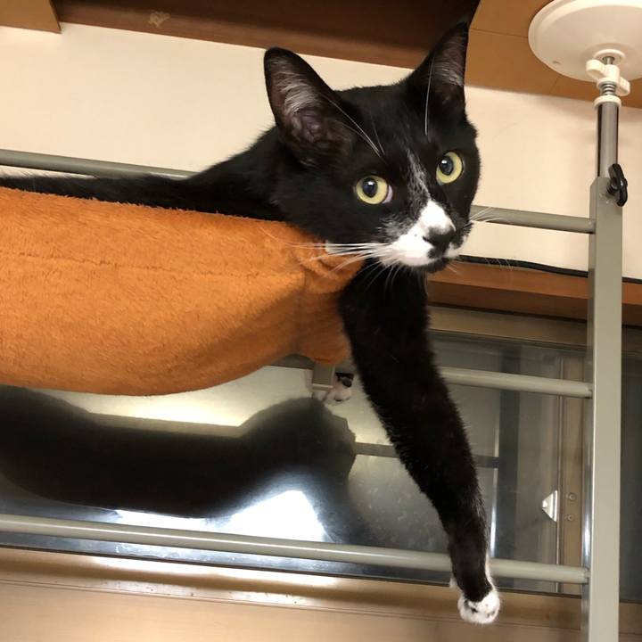 524e71ca 99af 4dba 8f7c 3302962c7281 1564286673710