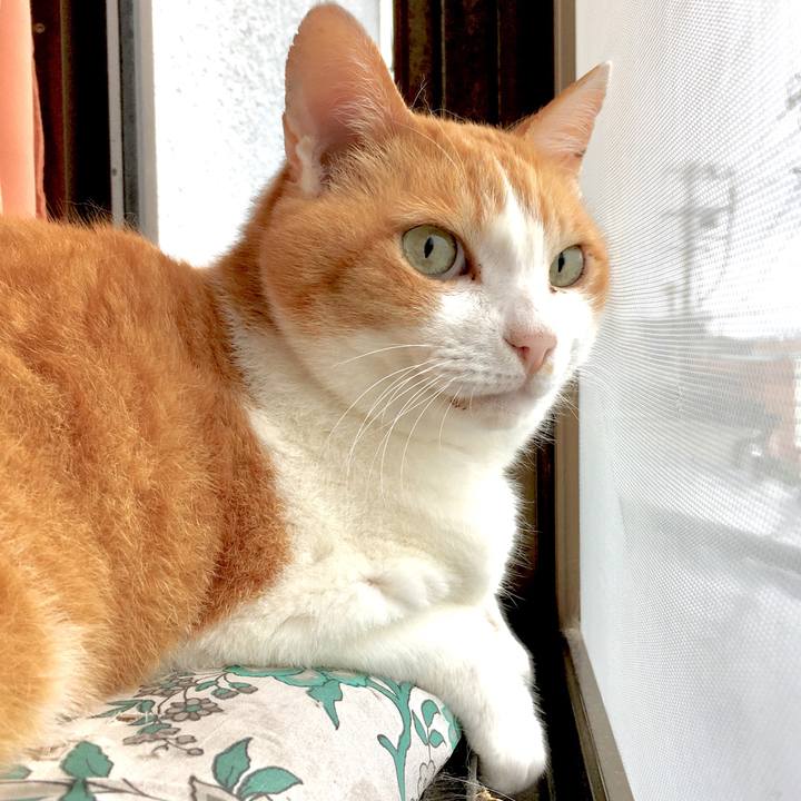 524eac18 7f97 474b b45e e3967c19cffc 1562035927093