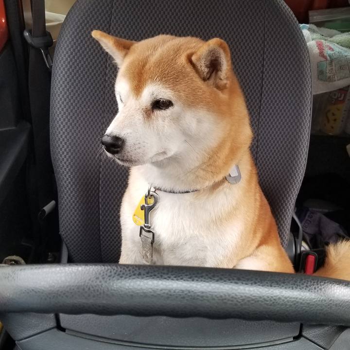 524ecbbd fdef 4d05 868f ba7ef14f8a56 1567130293163