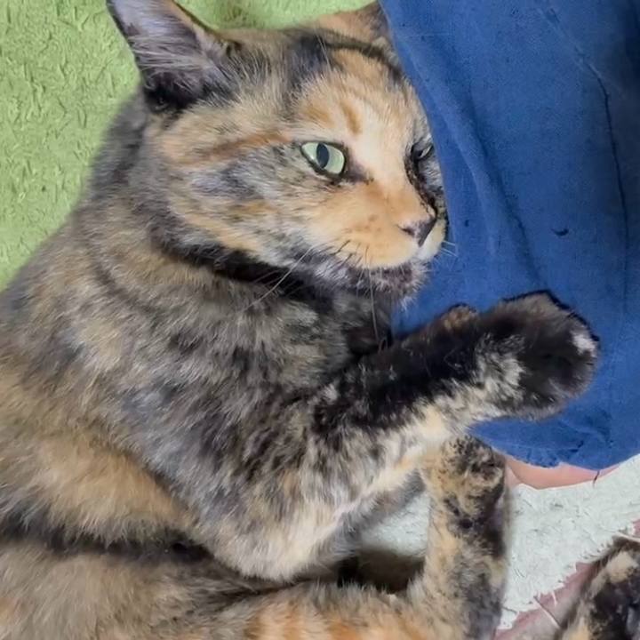 524ee019 e863 4716 bd33 46235ac1e4a4 1753652551142