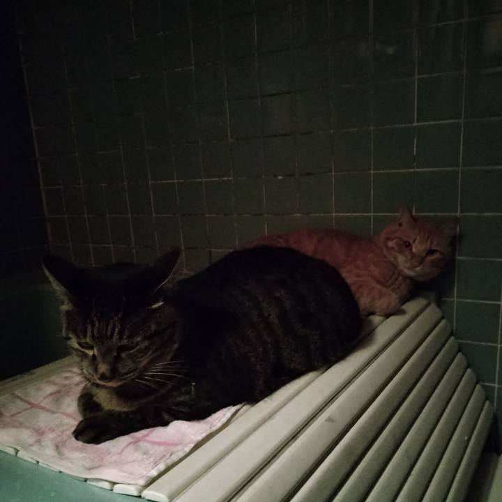 524f276e 1e36 476e bc31 ecc7caf02b28 1663839196378