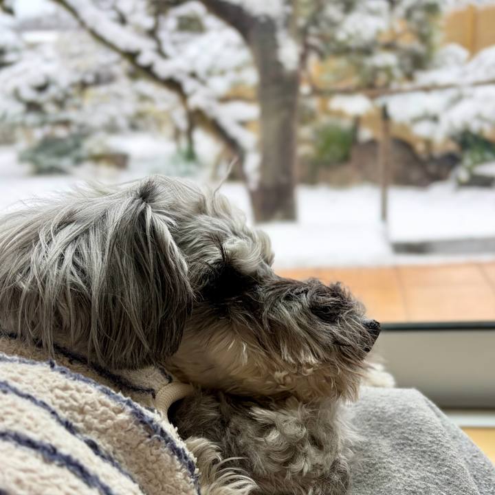 524f2c29 2da1 4911 85fc 7cbfe6584bf5 1770527821389