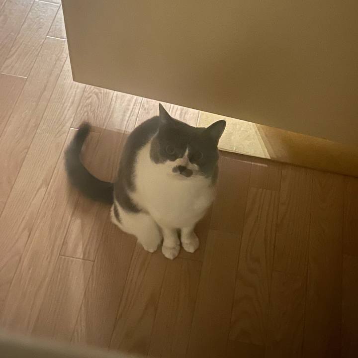 52500587 d57c 496e 856e b1970aa207e0 1677405071434