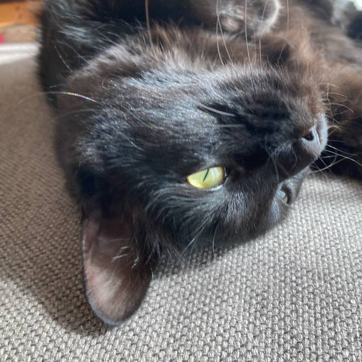 52501d80 50ed 4896 a0e9 c0085de87061 1739630634429