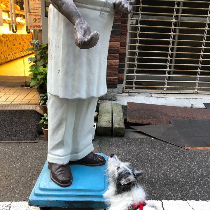 5250201d f2a5 4cd7 b30a 374bb39be3ef 1590580324523