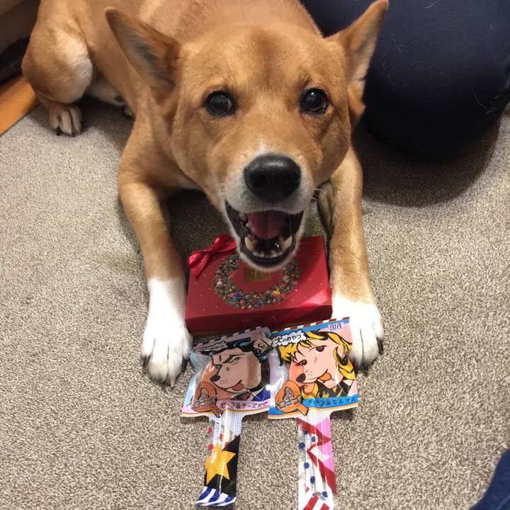 52502cac 4b48 42c9 a09b 699814a4a47a 1545573454657