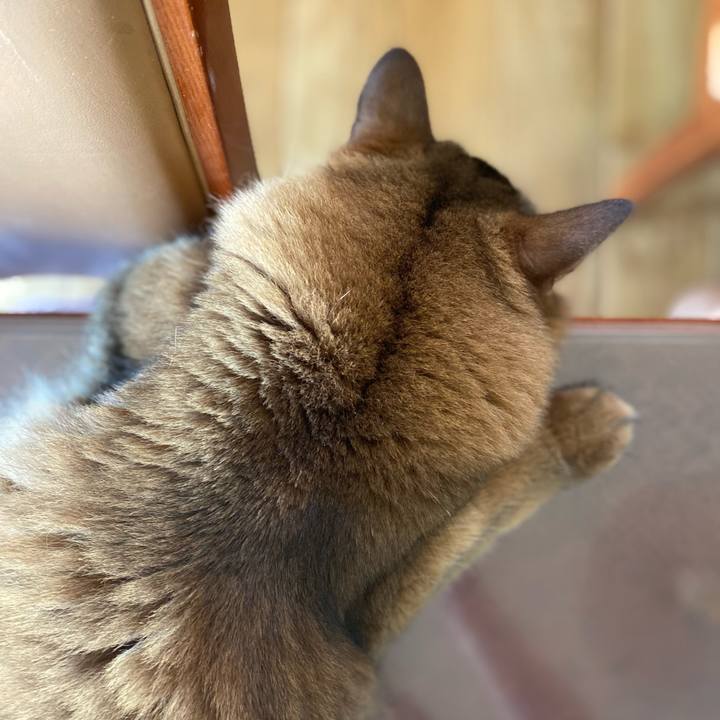 52503a34 853e 45a0 85b3 96259f9eafe1 1656718865354