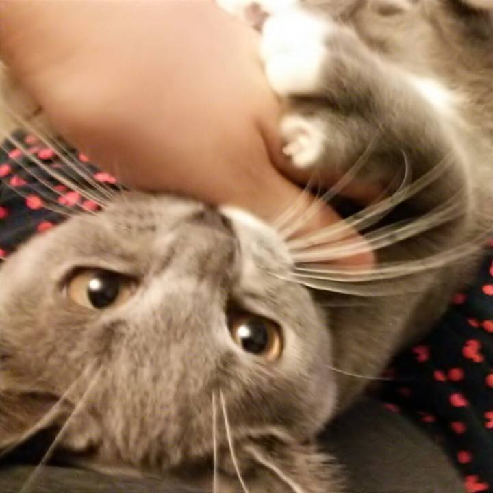 52503d9d 78b8 484d b6eb 6b25b04221ab 1536877281968