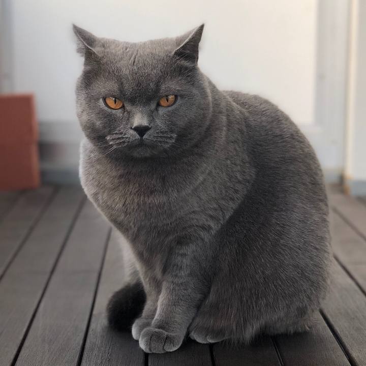 52507c8c 8ee2 4527 96c7 81c04bd406eb 1515640618570