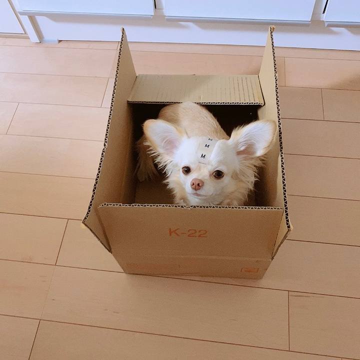 52509e19 8c6c 4bb8 b203 f1b3a554498d 1614569128140