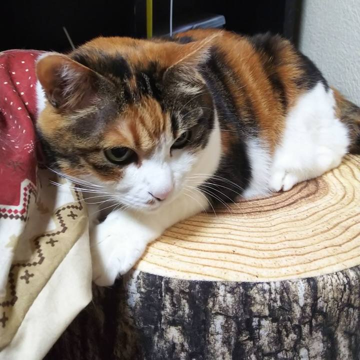 52513dda a8a7 40cd b3e0 17d6fdd7a8af 1588561264183