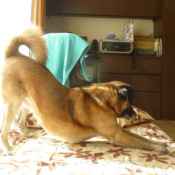 5251464c 9d8d 4c3a 85ef d0115e8eeb30 1579478813874