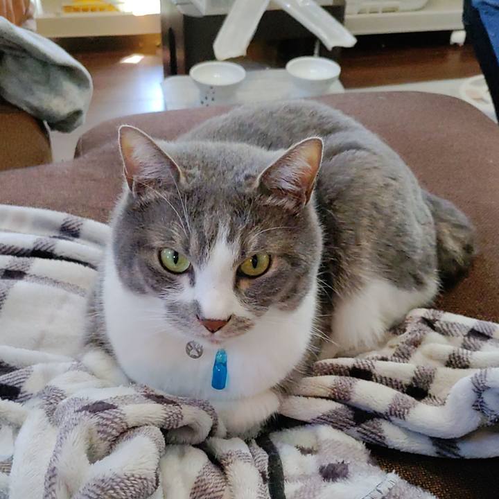 525175d0 df3a 41af 9feb 903435eebcef 1714706817679