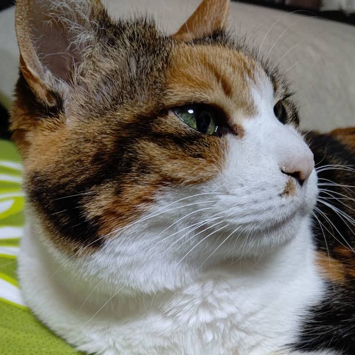 5251b300 9714 4e90 b2b9 40cf5d568e7d 1643465559386