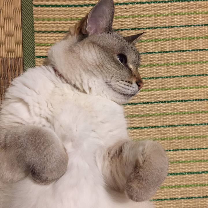 5251c40c 78c9 4a69 b4df d6d5645240a5 1561027562526