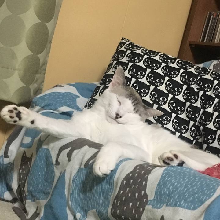 5251f3f9 699c 4aa6 9eb9 1f412b043df0 1567865225876