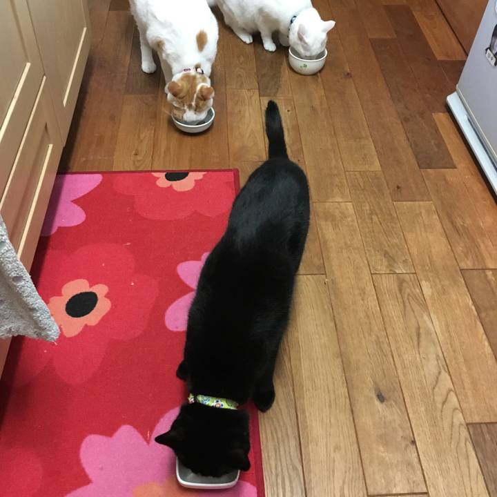 52520948 13a8 4ed4 9050 93f93ce7d76b 1529757889403