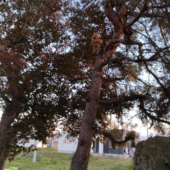 525266c0 07c3 455e a084 51a82f287827 1700035252440