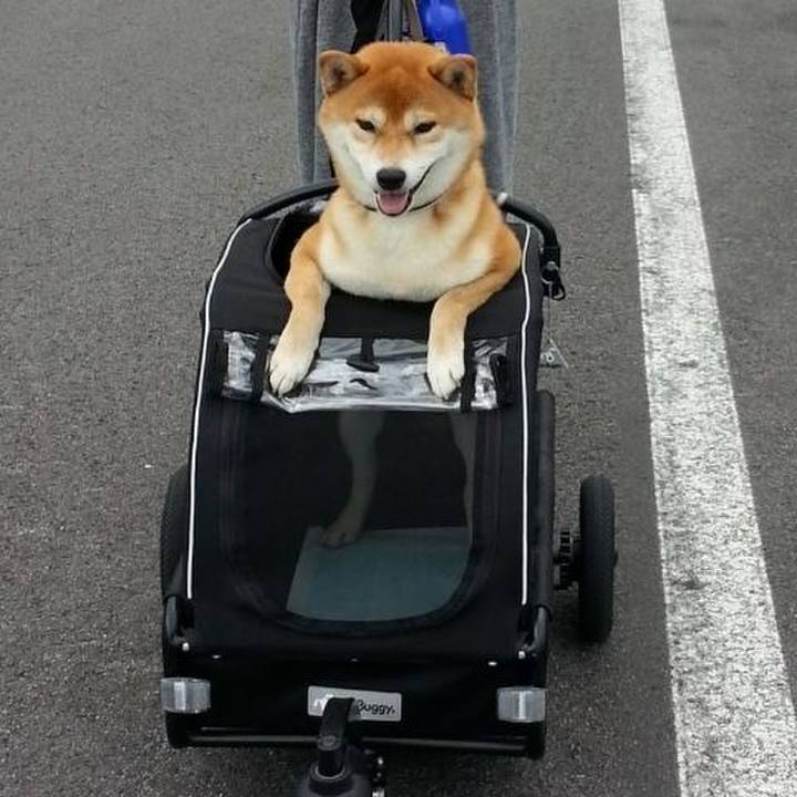 52529111 4c5f 453b a0b5 a2b3488f2e6d 1711173499043