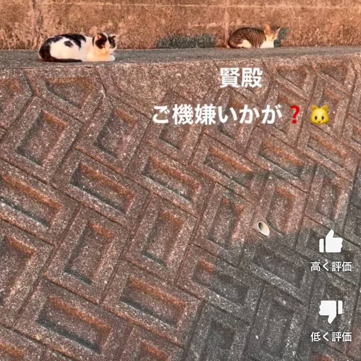 525293e5 6509 4d03 b419 a730f9aa4499 1672154130805