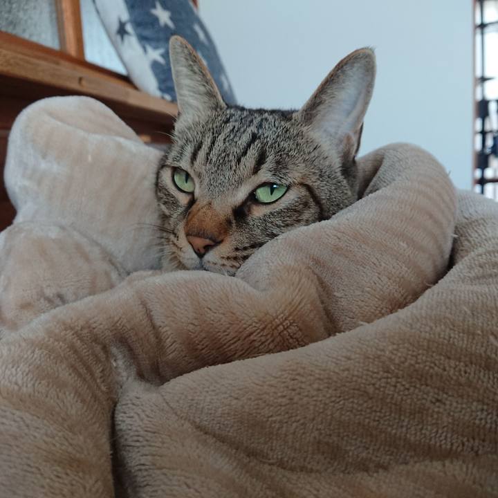 5252ad4b 0550 4eed 9535 72be815a1c94 1576292941554