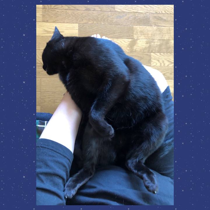 5252bb69 aac3 4848 97c9 8e2096a3805e 1694830865945