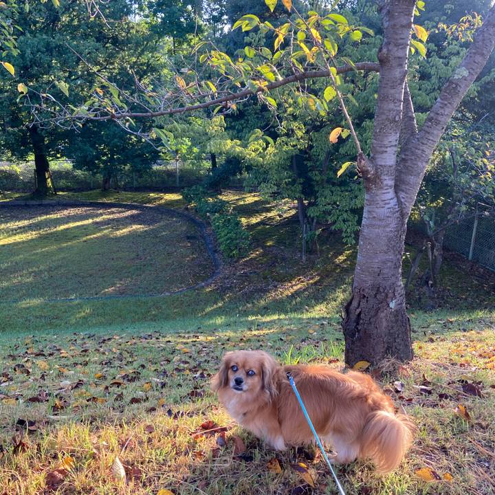 5252bb6e b4e2 4da2 9145 66edae78e722 1598998898015