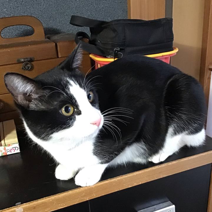 5252de5c 86a3 4da3 84f1 c91864f0b5b4 1644445950582