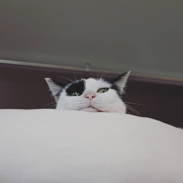 52531134 0342 405c 9686 c44ce118dfdc 1622163573997