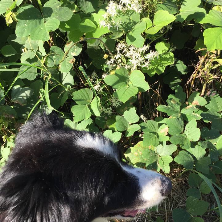 52531b6a 5a15 47c2 8fb1 ee73a4bad490 1536017775914