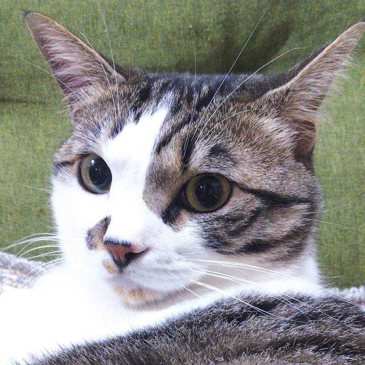 525355ab d636 4aa3 8749 9a5f49150a24 1652533252264