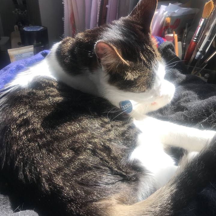 525355fc 4b06 4017 8a29 0522801570ac 1587131299180