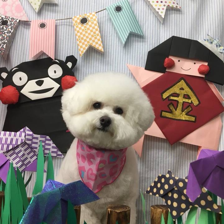 52535b33 48a4 4c15 983f bf0c5ae589cb 1524625283563