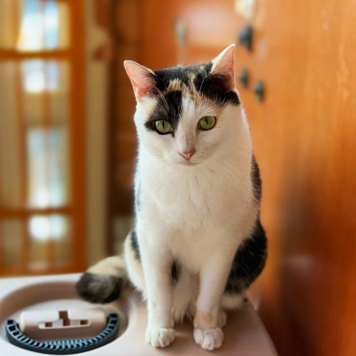 52537c4b 235e 474e 92a5 743a696ac520 1599186973060