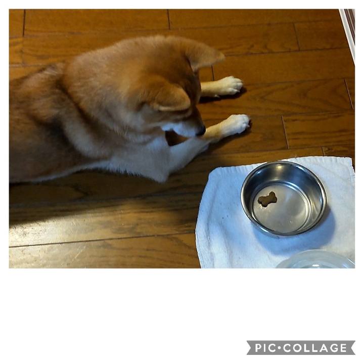 52538ecb 752d 4c53 a561 3ede622c9817 1665980322942