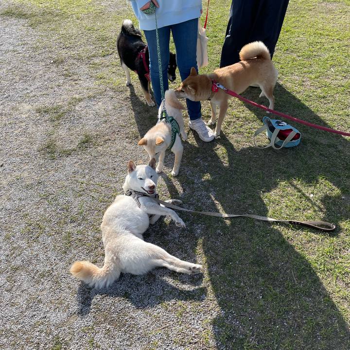 5253a0dc e075 4d8c b844 c2662bd59983 1648986720788