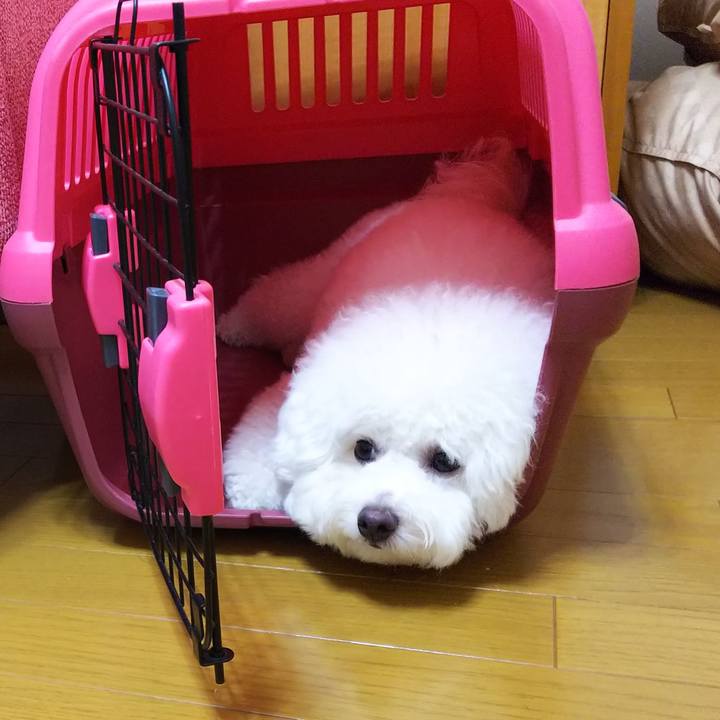 5253c6a8 8945 49d0 9c12 d06c1ce9b9af 1531996958826