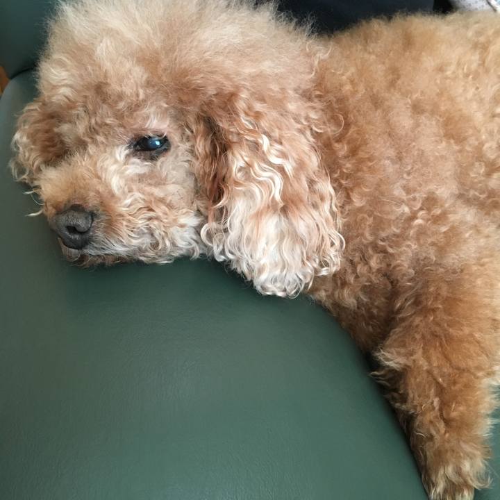 5253da71 fe67 475d ba8b 68dc48e72cd3 1519511838785