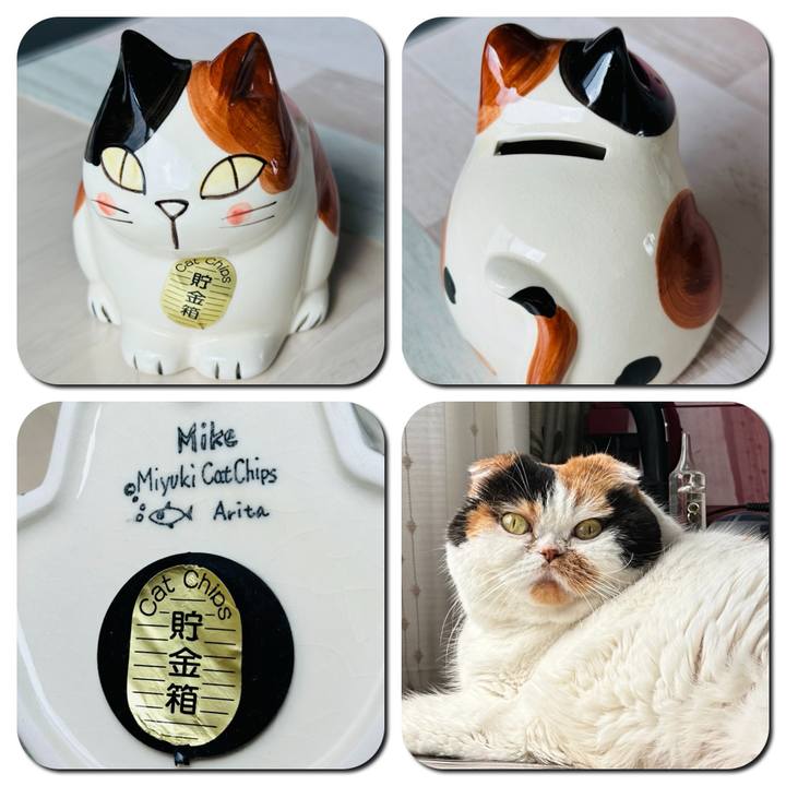 52541d92 a58c 45c5 8b62 480eb952eb4c 1723120115841