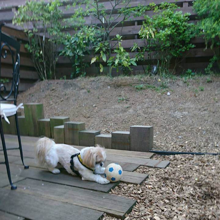 52544497 8de7 41d9 8afb a429955fdaba 1558088133104