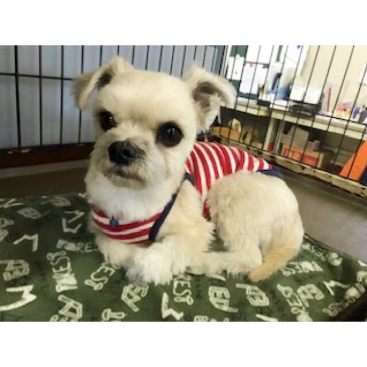 525453a5 ee8d 44b2 9a51 e9f8b11badf3 1548068894298