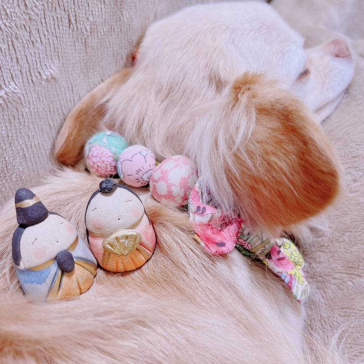 525460ca d362 4d6a b84e 9c456883cdc5 1677836816771