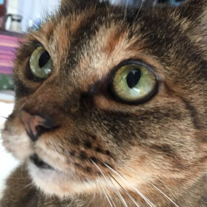 52546aa1 3356 49c4 b51a 37c954f84199 1570357465155