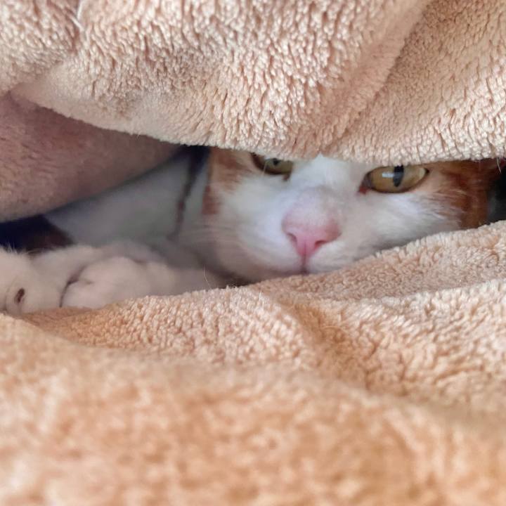 52548040 0d66 4891 9fae e9bb1b818486 1674454613525