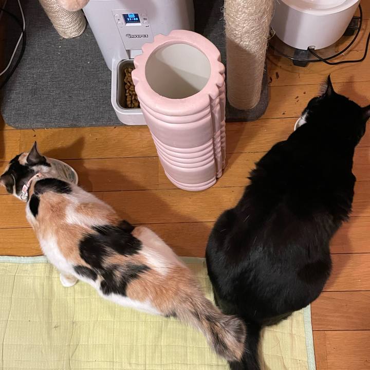 52549615 3819 4846 9e55 948fe020d180 1672836567085