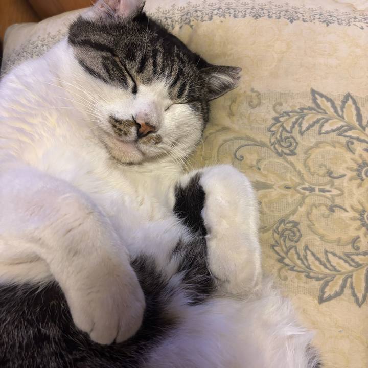 52549b81 2c95 49dc b6b8 1abb73a29481 1768546518715