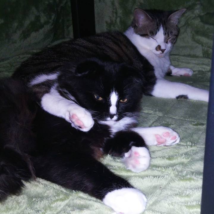 5254a0fd 51b5 42a6 83f1 5fdec772c078 1648109460027