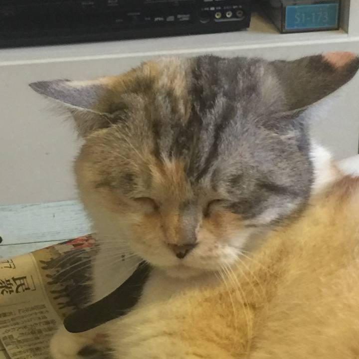 5254aab7 2d54 4f97 81c3 61ec2e5f58aa 1562144573265